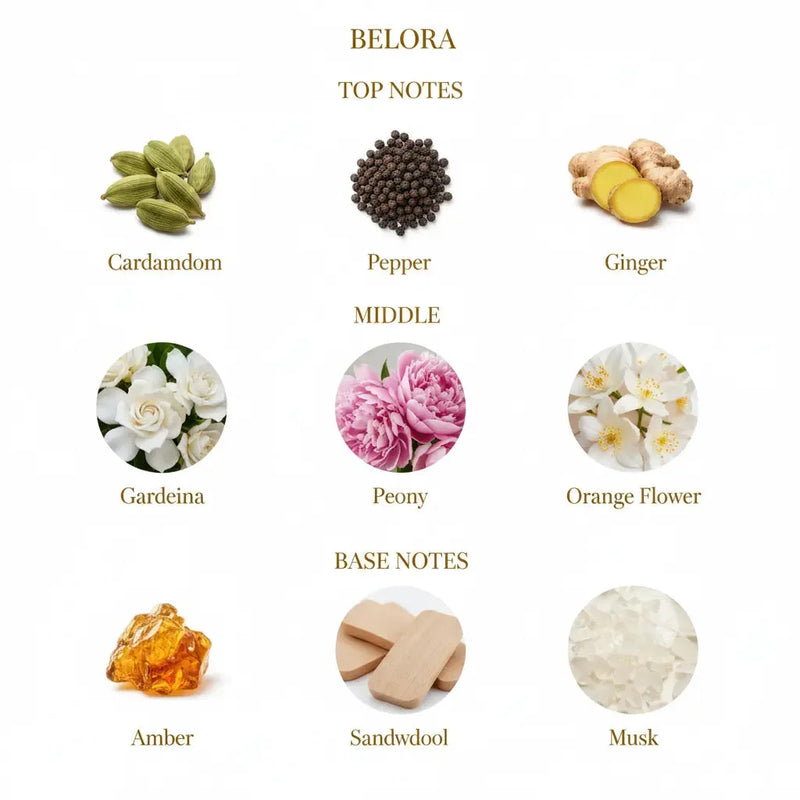 Fragrance Notes