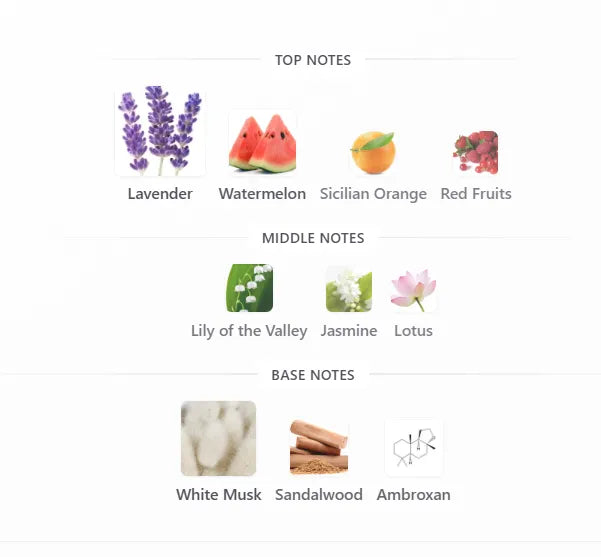 Fragrance Notes