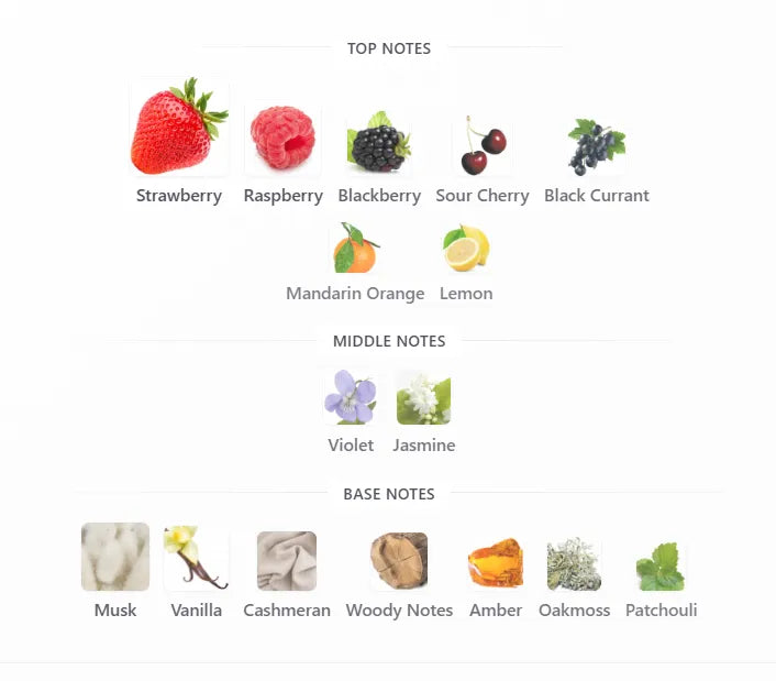Fragrance Notes