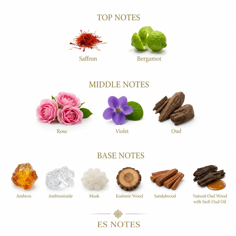 Fragrance Notes